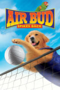 Μπάντι, το πιο Δυνατό Καρφί (Air Bud: Spikes Back)