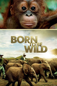Αφίσα της ταινίας Born to Be Wild