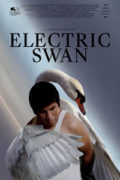 Ηλεκτρικός Κύκνος (Electric Swan)