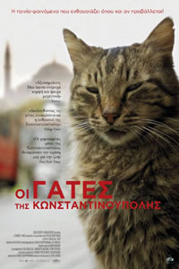 Αφίσα της ταινίας Οι Γάτες της Κωνσταντινούπολης – Kedi