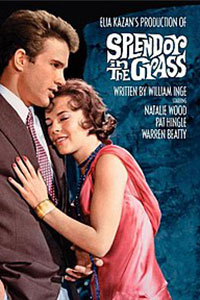 Αφίσα της ταινίας Πυρετός στο αίμα (Splendor in the Grass)