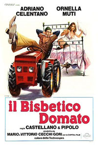 Αφίσα της ταινίας Σεισμός στο Κρεβάτι μου (il Bisbetico Domato)