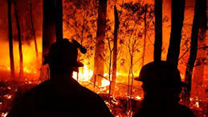 Μέγα-Πυρκαγιές: Ερευνώντας Μια Παγκόσμια Απειλή - Doc On Ερτ
