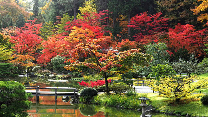 Όμορφοι Κήποι στην Ιαπωνία (Monty Don's Japanese Gardens)