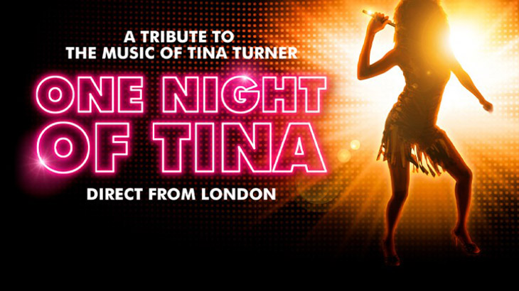 One Night of Tina