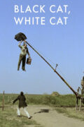 Μαύρη Γάτα, Άσπρος Γάτος (Crna macka, beli macor / Black Cat, White Cat)